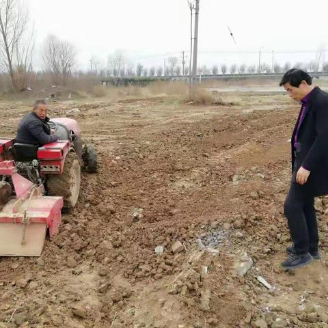 马召镇“大棚房”问题整改纪实