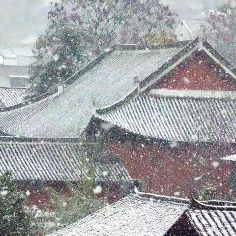 一下雪，文庙恍若紫禁城