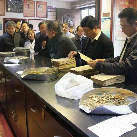 市人大常委会调研组一行莅临我区调研指导中医药工作