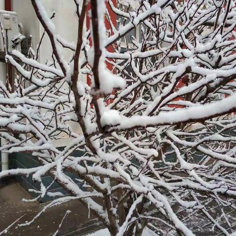 南亭小学冬日扫雪