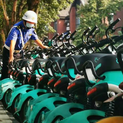 国庆我在岗 沙区城管用坚守向祖国告白