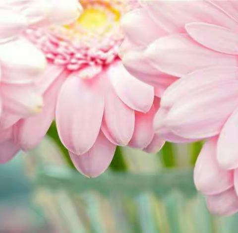 伦掌镇小学英语、科学、信息技术优质课比赛在许炉小学举行