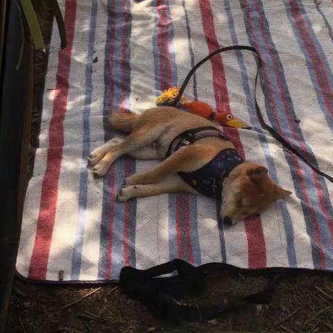 Backcountry Camping 2022 加强版 - 之Day 2