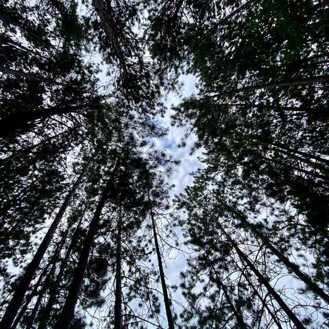 Backcountry Glamping 之六：第五天......誓把玩乐进行到底