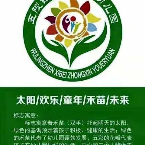 西北中心幼儿园——一周精彩动态