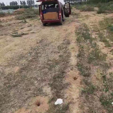 泾渭国土局完成立讯项目用地内1户苗圃迁移工作