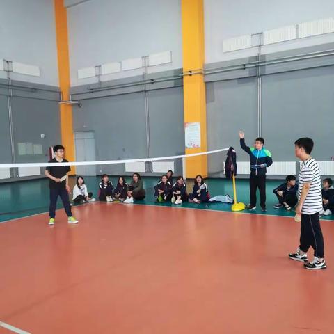 潍坊实验中学高二体育选课走班——板羽球之掠影