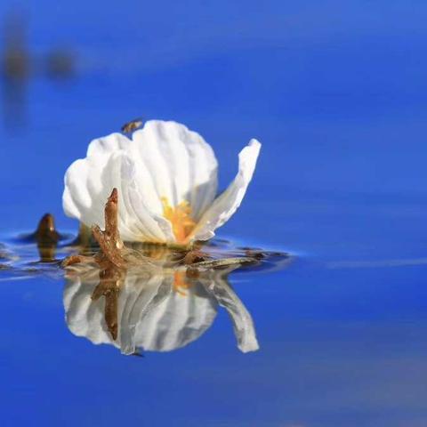 第四章     逝水   (1)