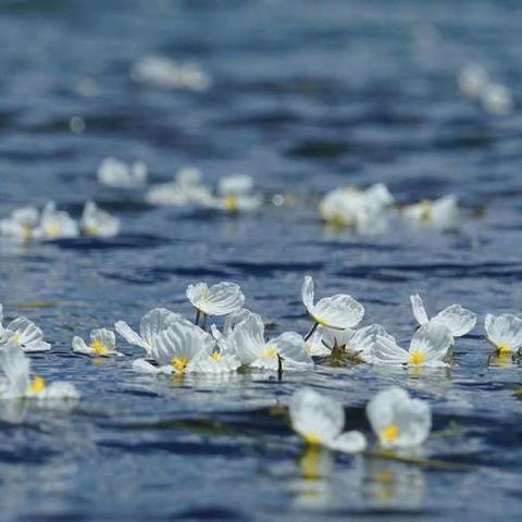 第五章  看见星河