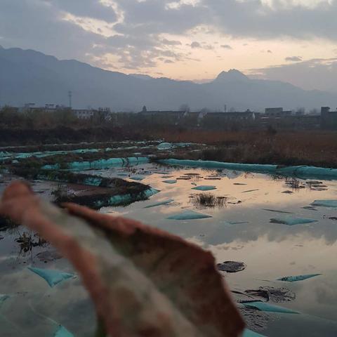 第三章    深流(4)