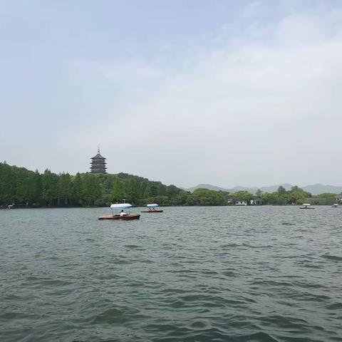 西子湖畔，水清树绿。想起苏轼对西湖的赞美：水光潋滟晴方好，山色空蒙雨亦奇，欲把西湖比西子，淡妆浓抹总相宜。