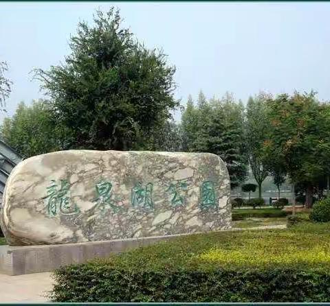 武陟龙泉湖今天发生一件大事……你知道吗