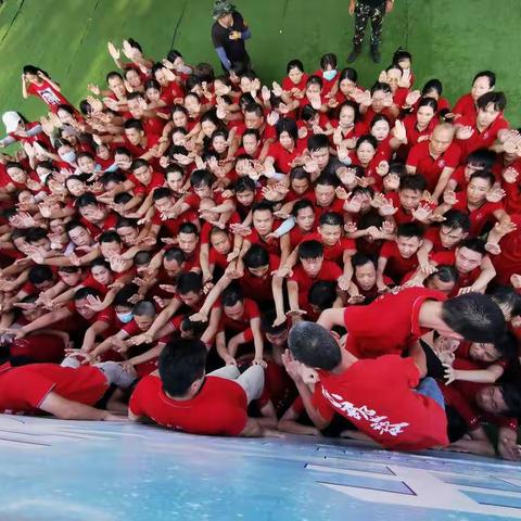 第六届牛商争霸赛深圳战区之海豹战队各个学院的战友们，我们毕业啦