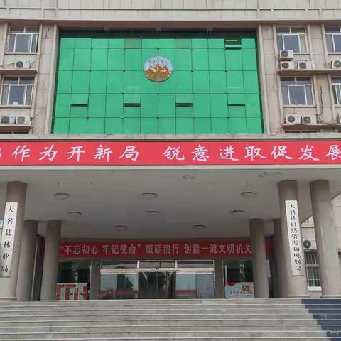 大名县自然资源和规划局开展庆祝建党100周年系列主题活动