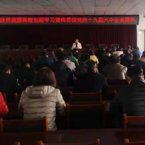 大名县自然资源和规划局学习宣传贯彻党的十九届六中全会精神