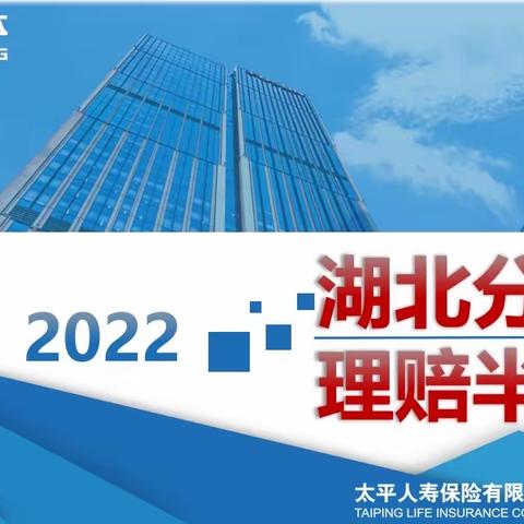 2022年湖北分公司理赔半年报