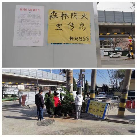 桃园街道新兴社区开展“文明祭扫 松柏祭祀”活动