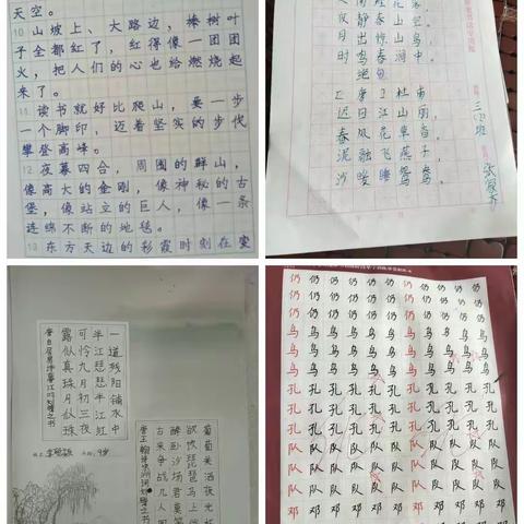 不负“暑”光，未来可期——驻马店市第四小学三二班暑假作业展示