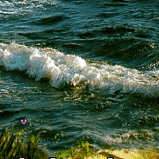 这么美的照片，值得收藏！！