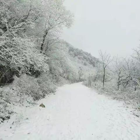 雪后登二郎山