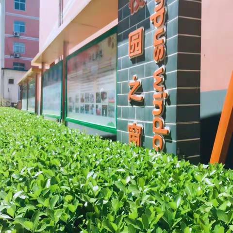 桃欢李笑，满园芬芳——新曙光雪驰小学