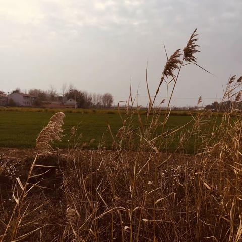 赵庄镇中心小学孟园园老师走教随笔：乡村走教，收获的是幸福，是诗意，是崭新的思考，是师生共成长的激情…