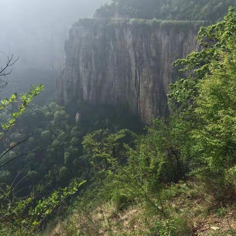 自驾车队   盘山而上