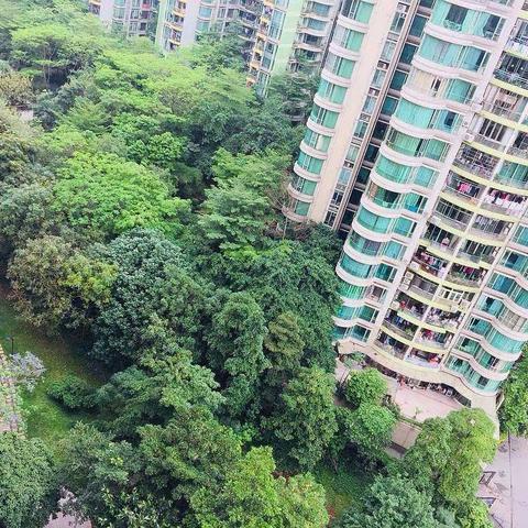 五年级美术网课之八