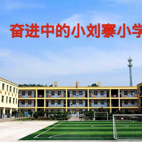 【能力作风建设年】追梦六月，砥砺前行——苟堂镇小刘寨小学第十七周工作掠影