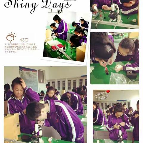 英林学校八年四班第五期《不输在家庭教育上》读书交流