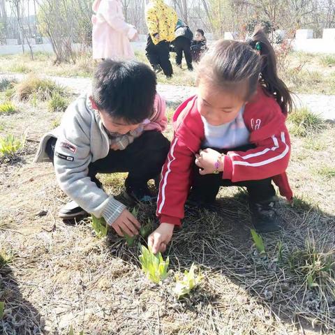 拥抱自然  寻找春天——铜冶镇东街学校附属幼儿园