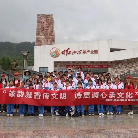 茶韵凝香传文明，诗意润心承文化——记城厢小学走进初心茶园劳动实践活动