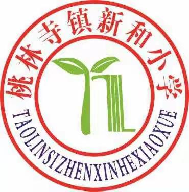 新和小学招聘老师