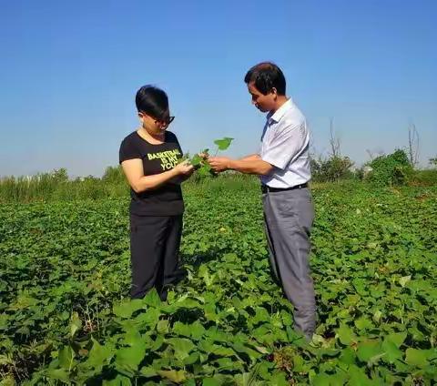 灞桥区科技工信局组织农业科技特派员深入田间地头开展科技服务活动