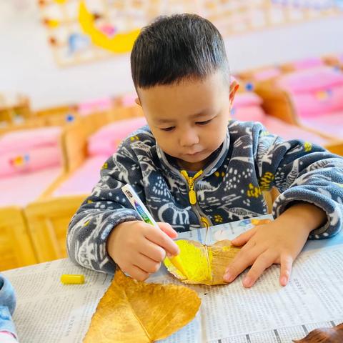 小树叶 大创意——美丽的树叶画