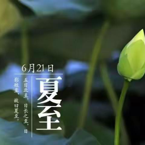 祝君夏日安好