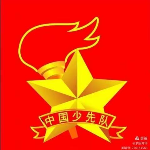 请党放心 强国有我——僧固乡李僧固初级中学七年级建队活动剪影