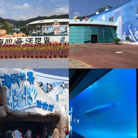 “探索海洋奥秘”，2018海洋世界亲子一日游