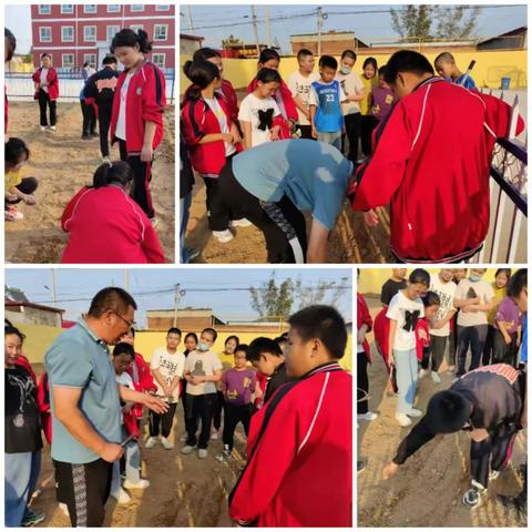 “双减”背景下探索劳动教育