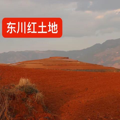 游云南东川红土地景区