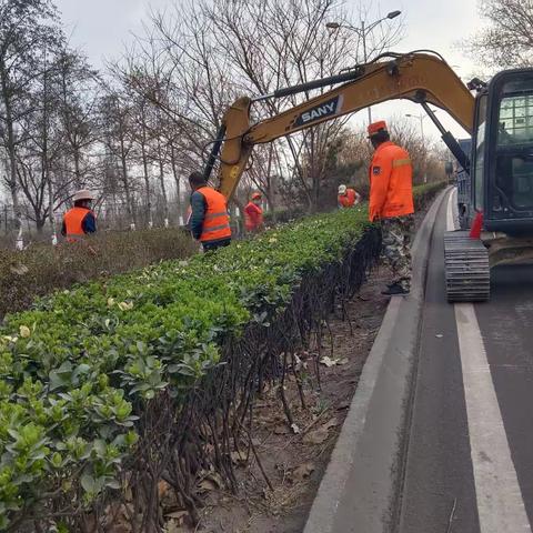 提升路域环境，打造公路靓丽风景