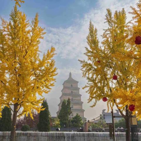 2022年深秋时节大雁塔