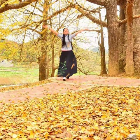 《银杏树下》 一一初冬"扫黄"