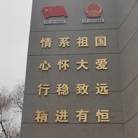 优化教学设计，实施有效教学
