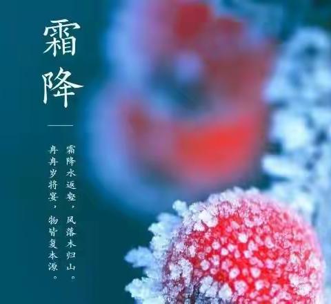 【今日十一中】，二十四节气｜霜降：风冷霜重，愿君从容向寒，优雅向晚