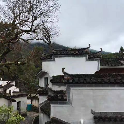 赴版纳旅拍记