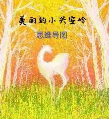 思维导图初探 —育才小学2017级6班读书活动纪实