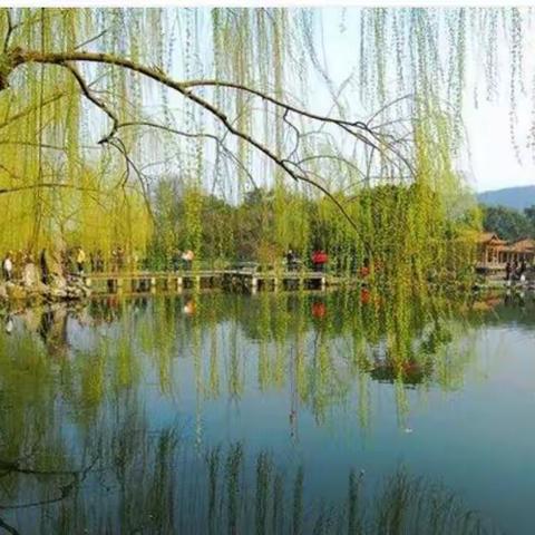 春潮澎湃处，乘风破浪时