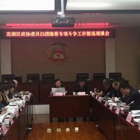 区政协召开扫黑除恶专项斗争工作情况通报会