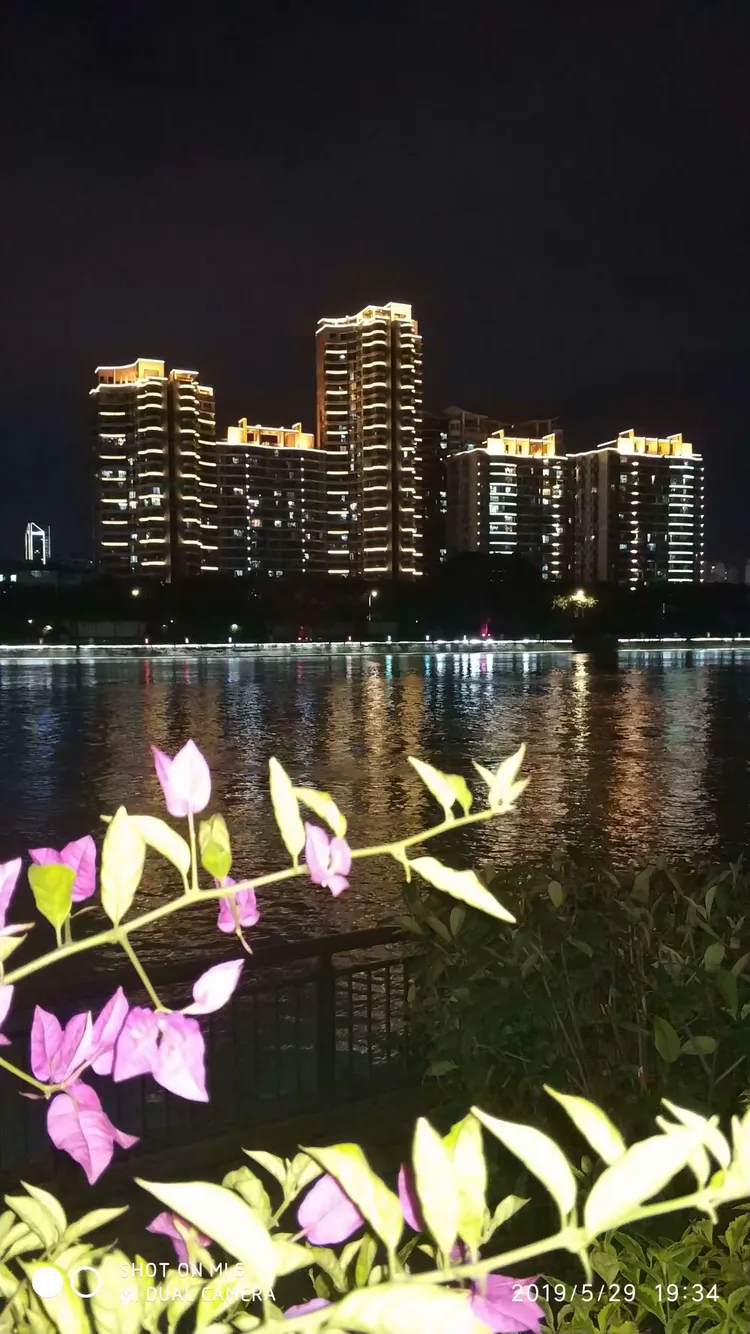 夜幕下的江心公园